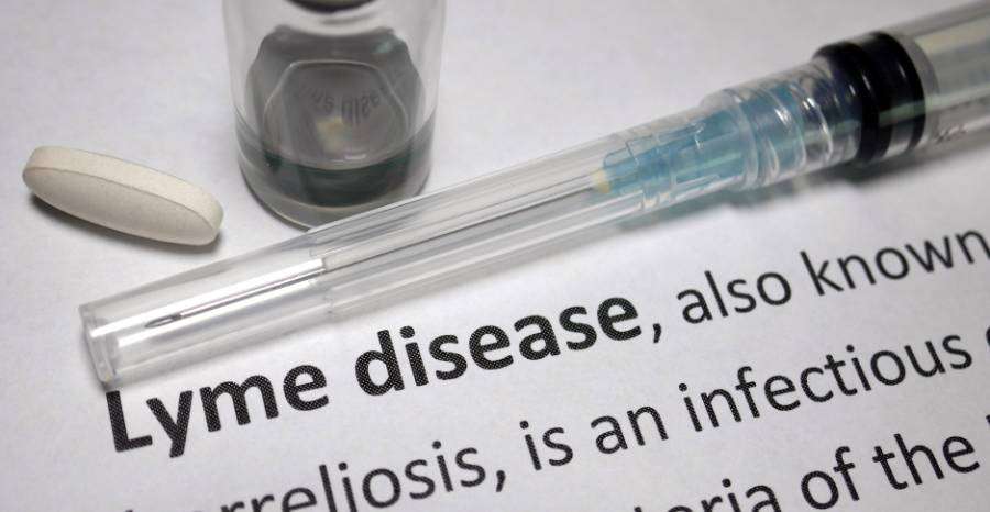 Miért nehéz diagnosztizálni a Lyme-kórt?