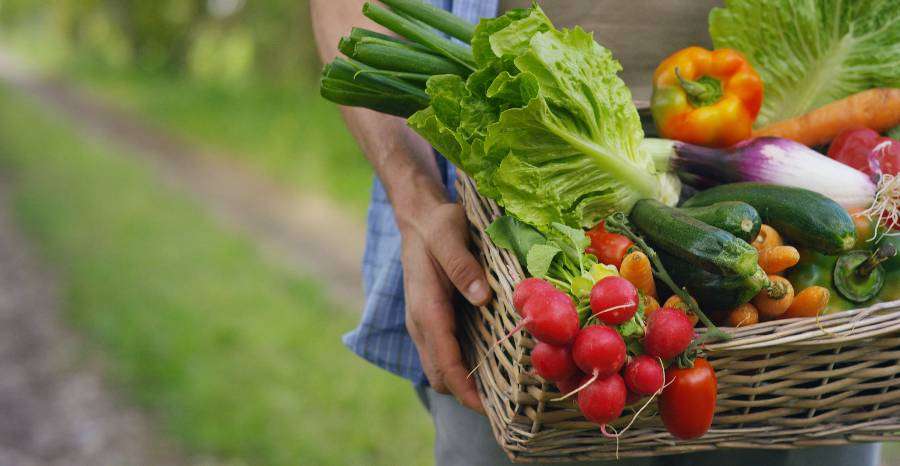 Mennyi zöldséget és gyümölcsöt fogyasszunk?