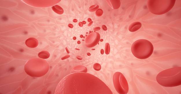 Mi okozhatja a vér alacsonyabb vörösvértest szintjét?