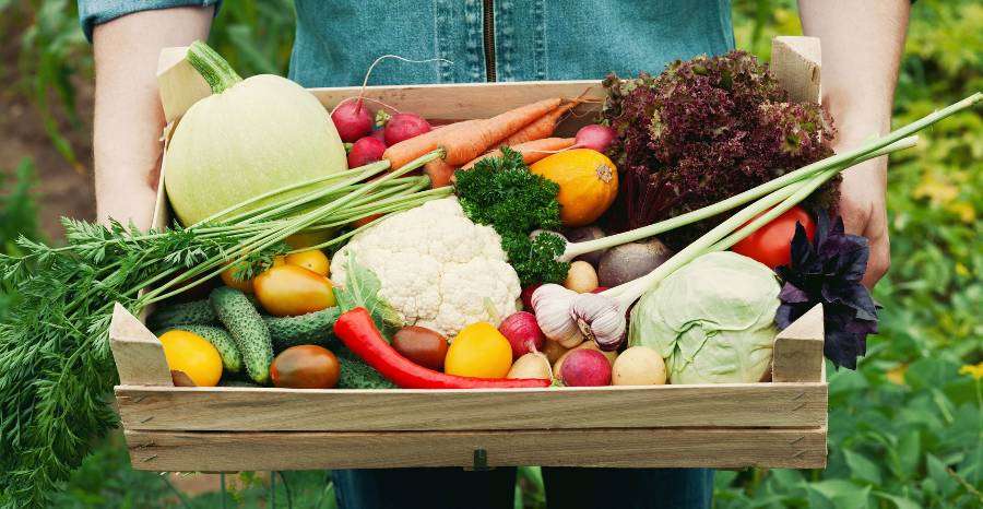 Milyen hatásokat okozhat a rendszeres zöldségfogyasztás?